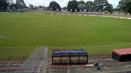 an empty AFL field is shown from above.