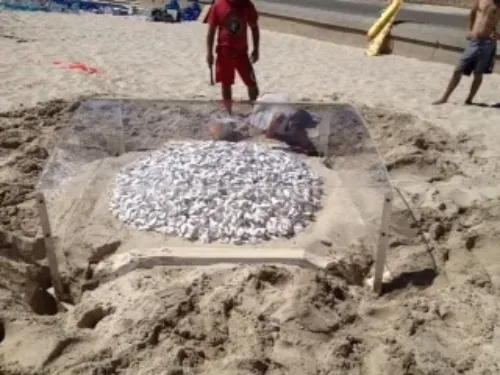 a man standing on top of a sandy beach.