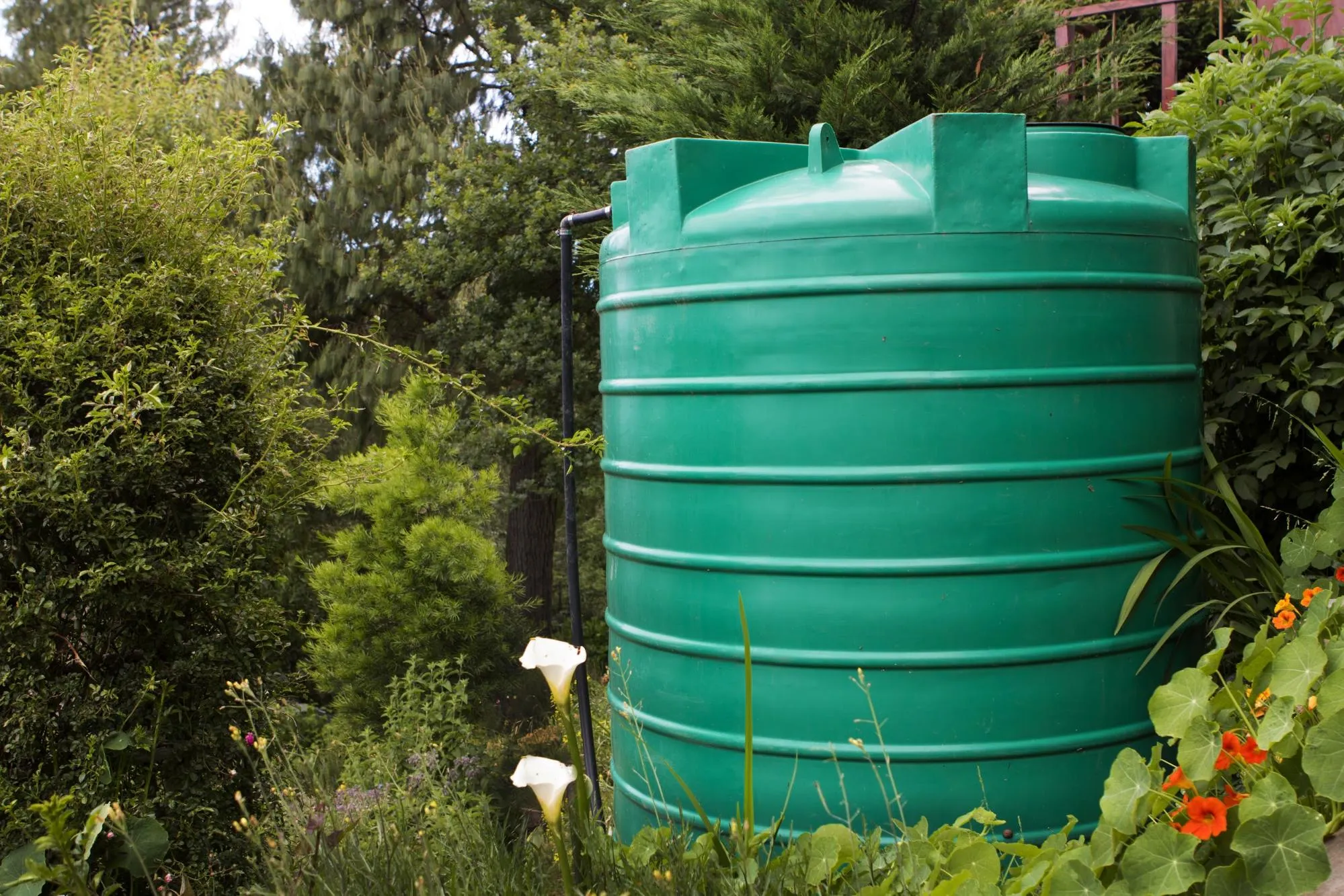a large green water tank sitting in the middle of a garden.
